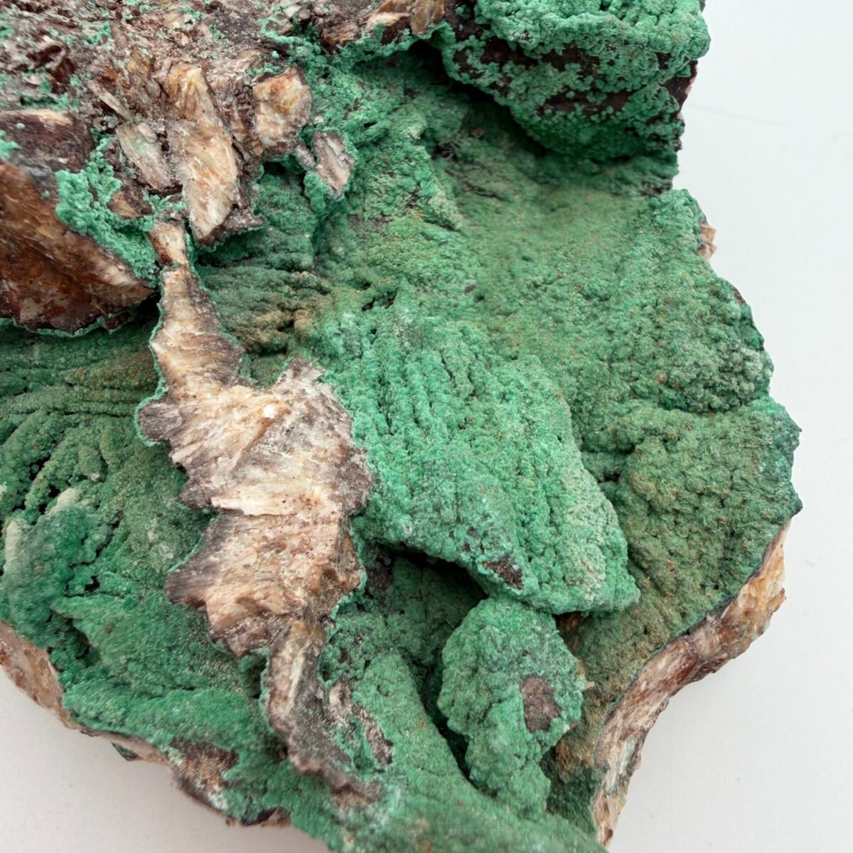 Alternative view of 4